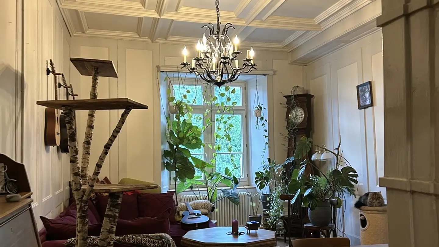 Apartment for rent - 8400 Winterthur