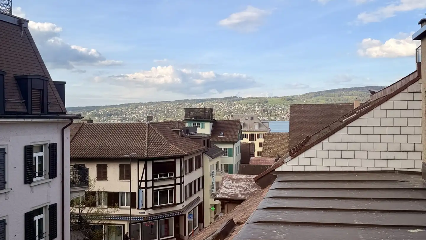 Single room for rent - 8810 Horgen - Photo 4