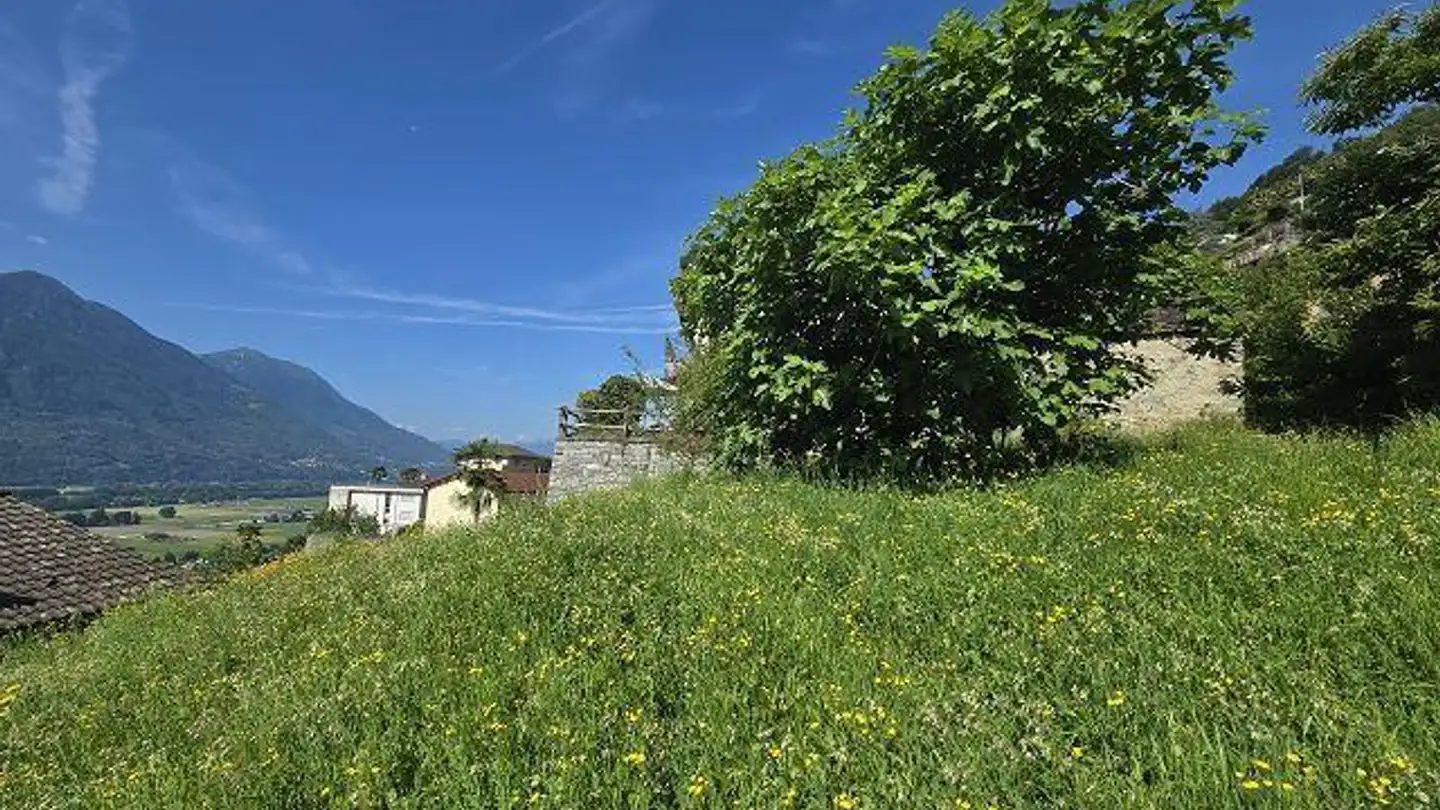 Constructible plot for sale - 6597 Agarone - Photo 3