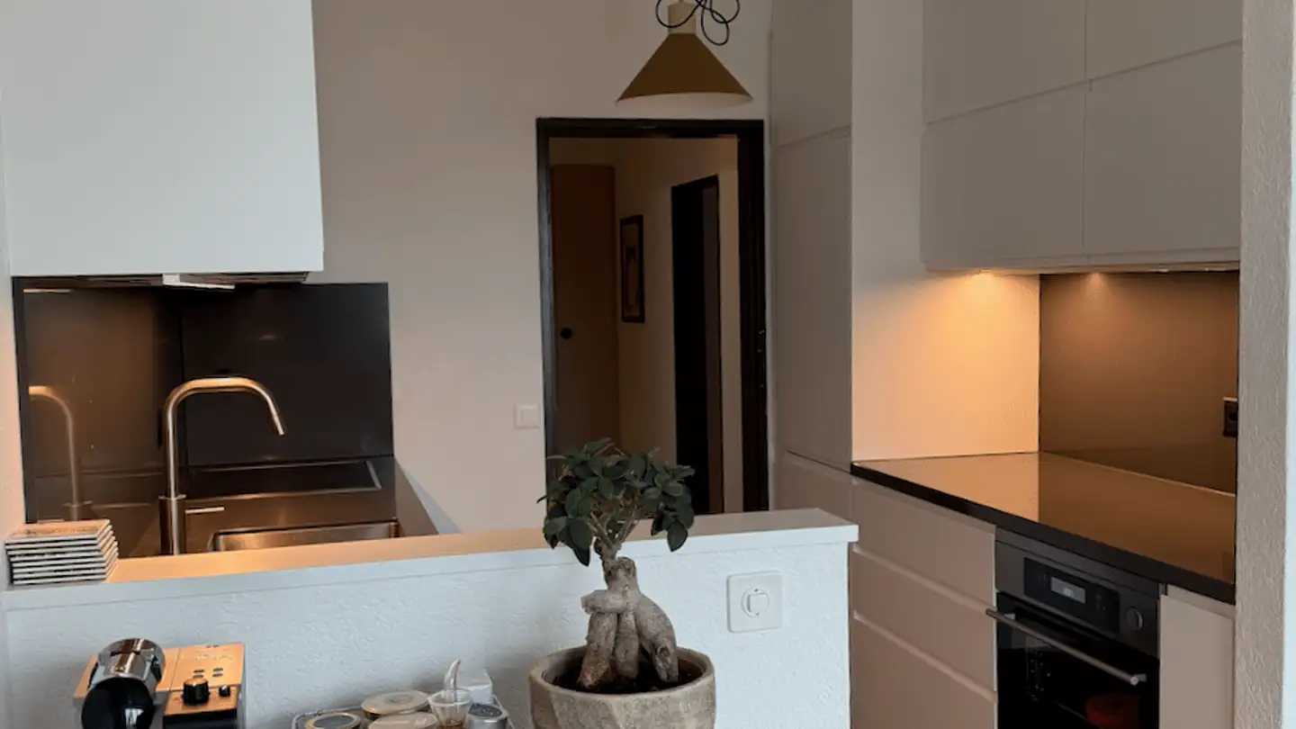 Appartamento in affitto - Luftstrasse, 8820 Wädenswil - Foto 4
