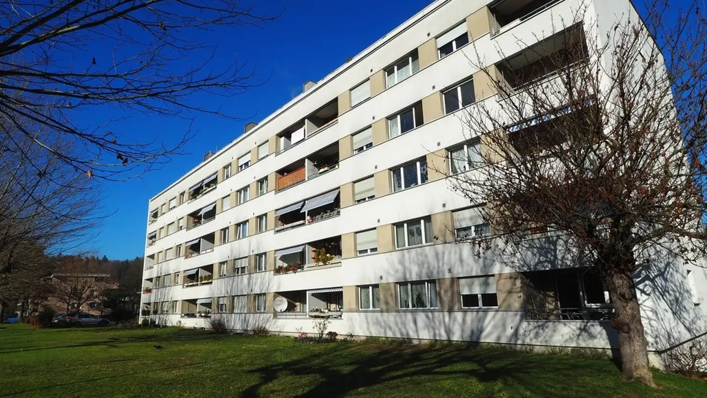 Place de parking extérieure à louer - Schönenbachstrasse 8, 4153 Reinach BL