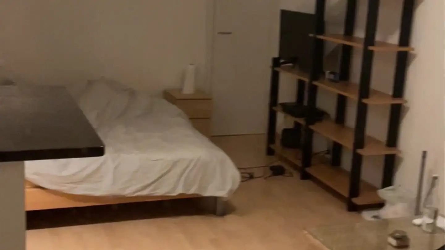 Appartamento in affitto - Avenue D'ouchy 58, 1006 Lausanne - Foto 3