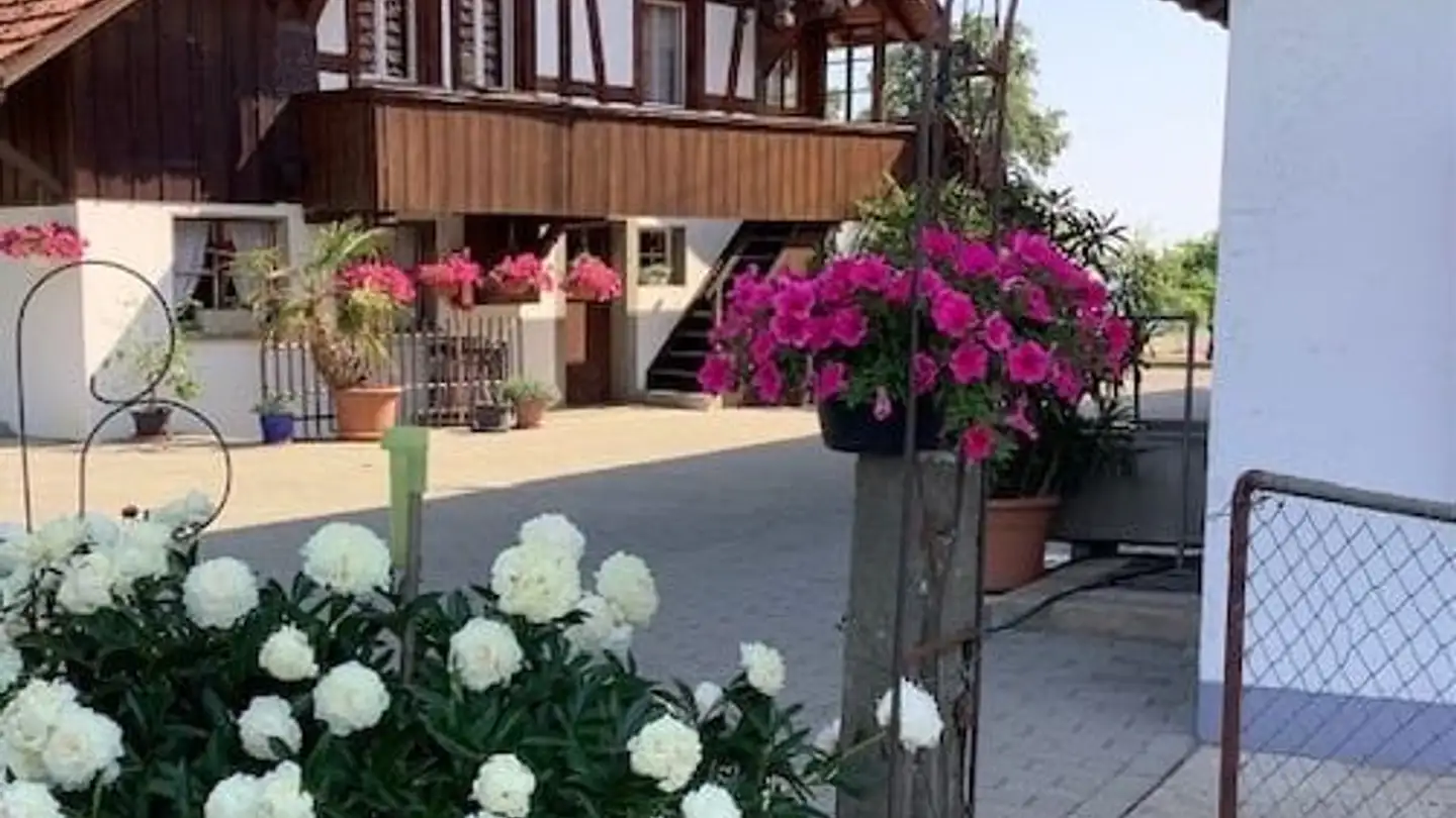 Appartamento in affitto - Matzenriedstrasse 78a, 3019 Bern