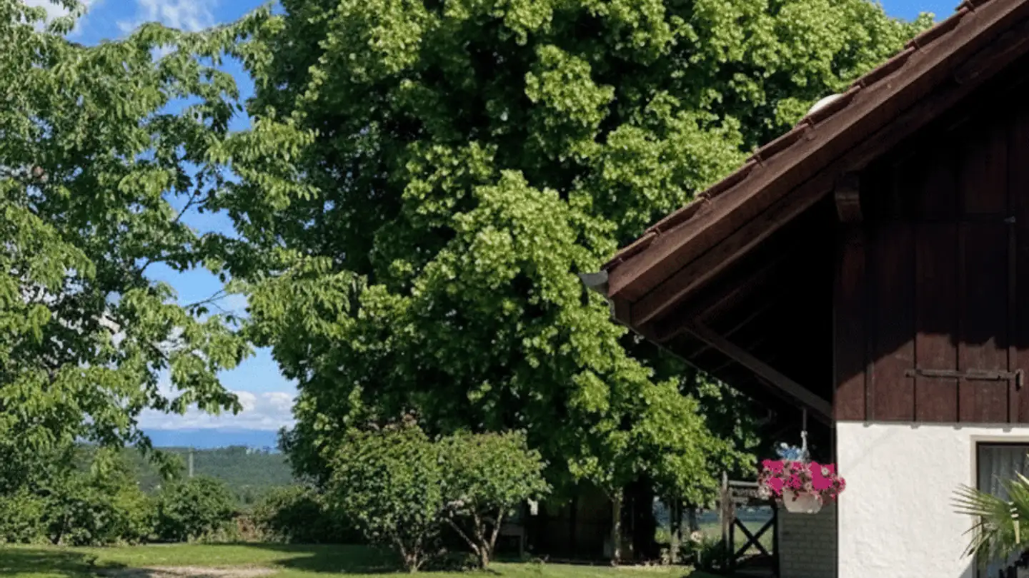 Appartamento in affitto - Matzenriedstrasse 78a, 3019 Bern - Photo 2