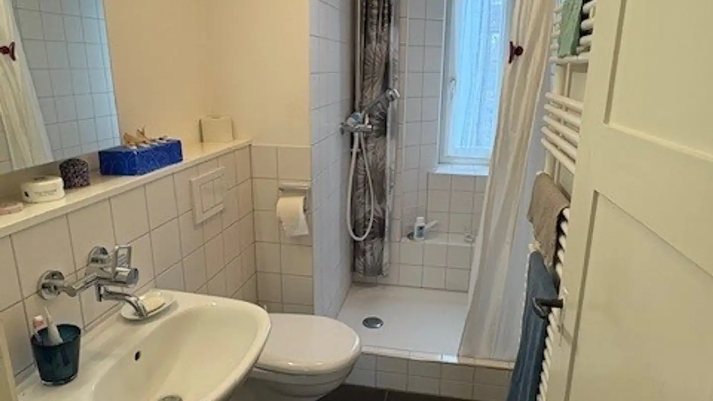 Appartamento in affitto - Salstrasse 73, 8400 Winterthur - Foto 3