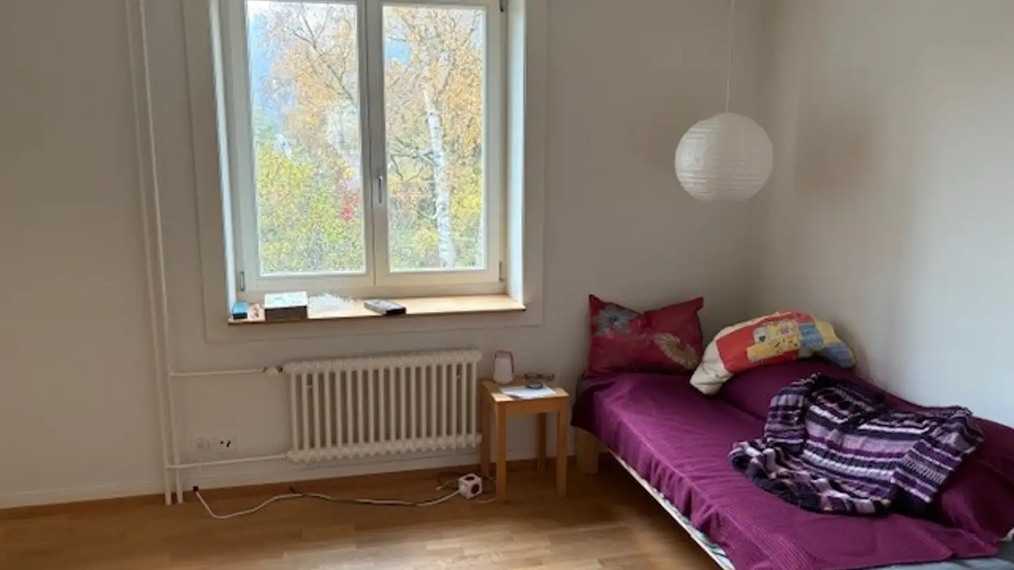 Appartamento in affitto - Salstrasse 73, 8400 Winterthur - Foto 4