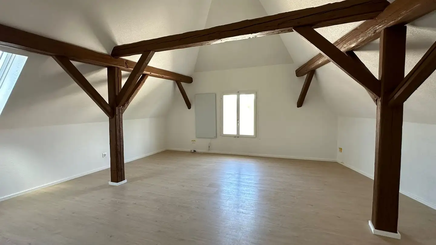 Duplex in vendita - Trüllenbuck 77, 8207 Schaffhausen