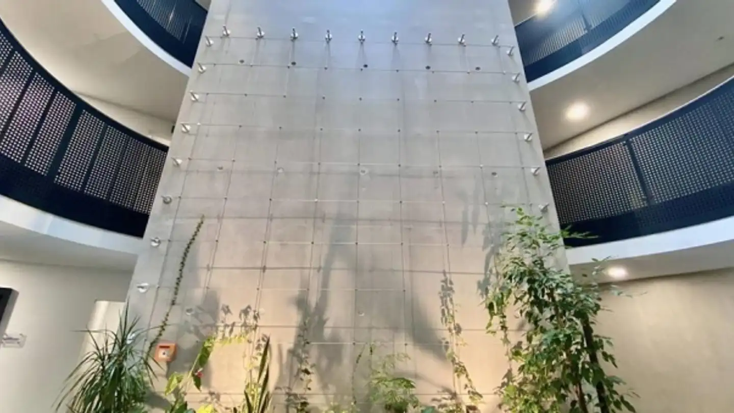 Mixed-use building for rent - 1700 Fribourg