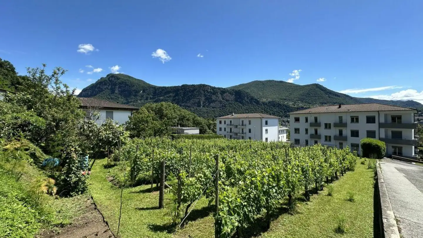 Industriebauland kaufen - 6862 Rancate - Foto 4