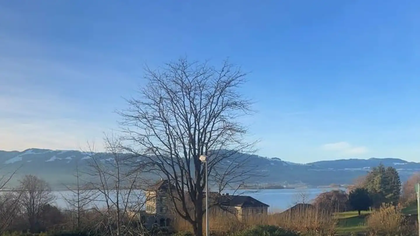 Apartment for rent - Oberer Gubel 10, 8645 Jona - Photo 3