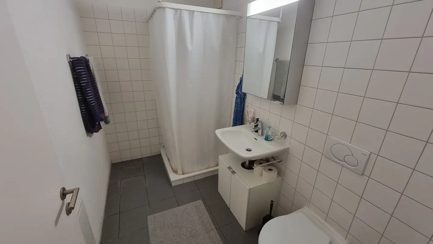 Chambre à louer - 8050 Zürich - Photo 4