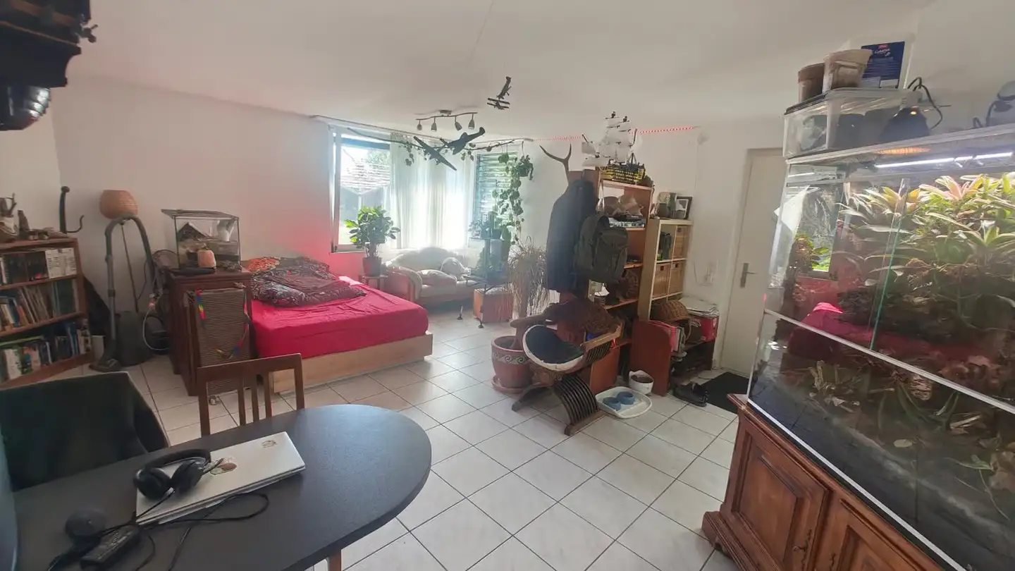 Studio mieten - Gassäckerstrasse 33, 5618 Bettwil - Foto 2