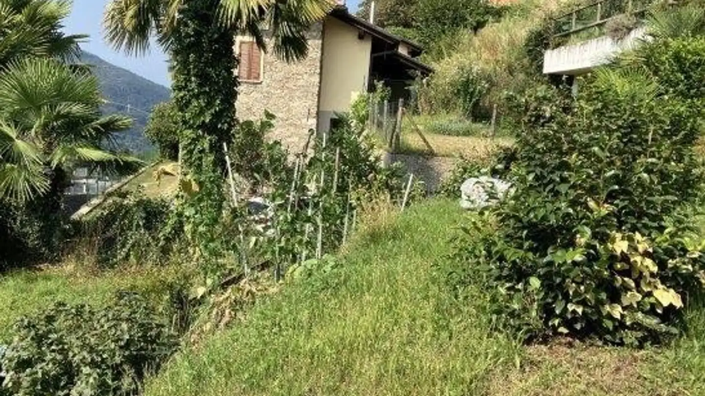Constructible plot for sale - 6998 Monteggio - Photo 3