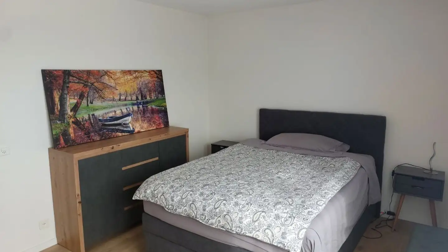 Furnished apartment for rent - Ilgenstrasse 3, 8853 Lachen SZ - Photo 4