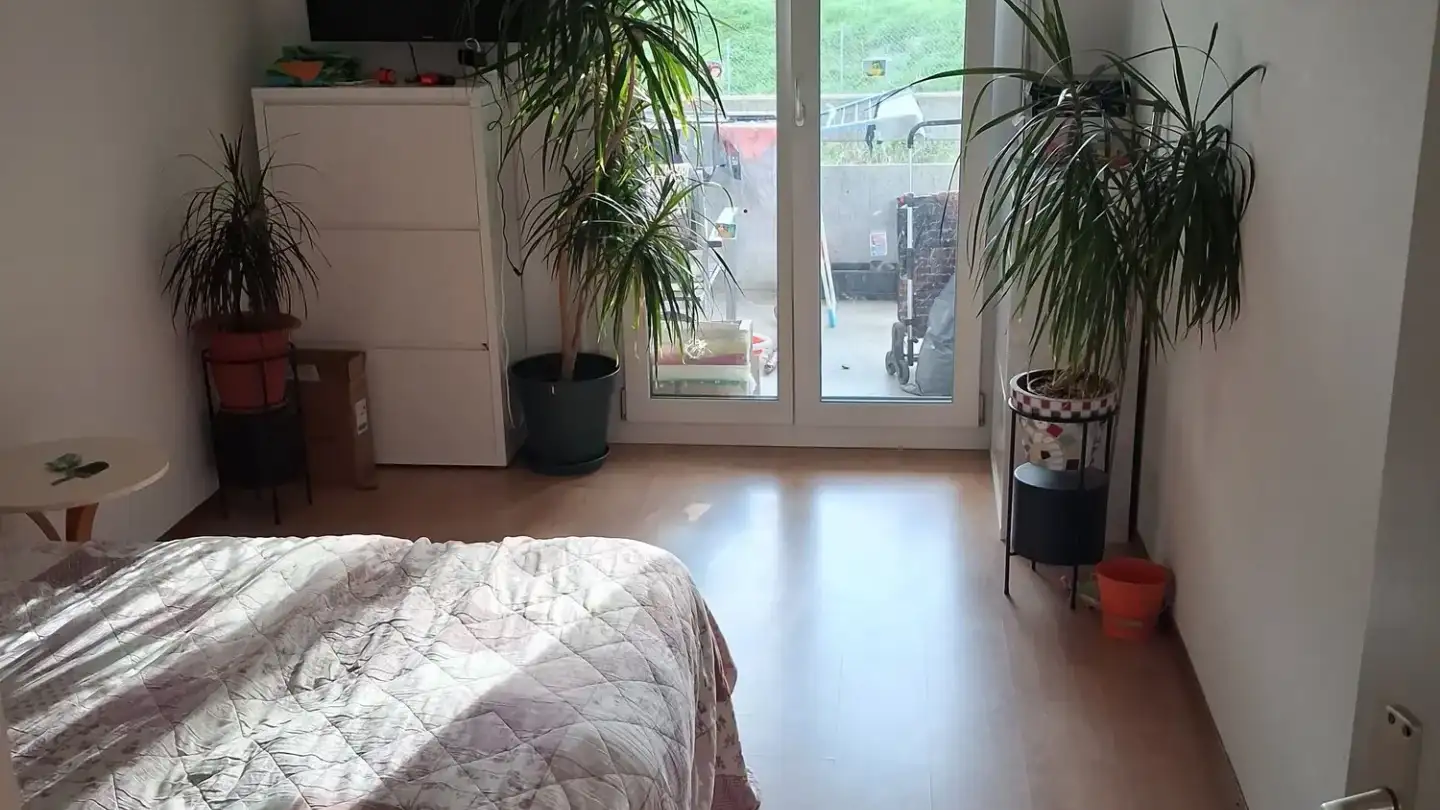 Wohnung mieten - Mühleweg, 3186 Düdingen - Foto 4