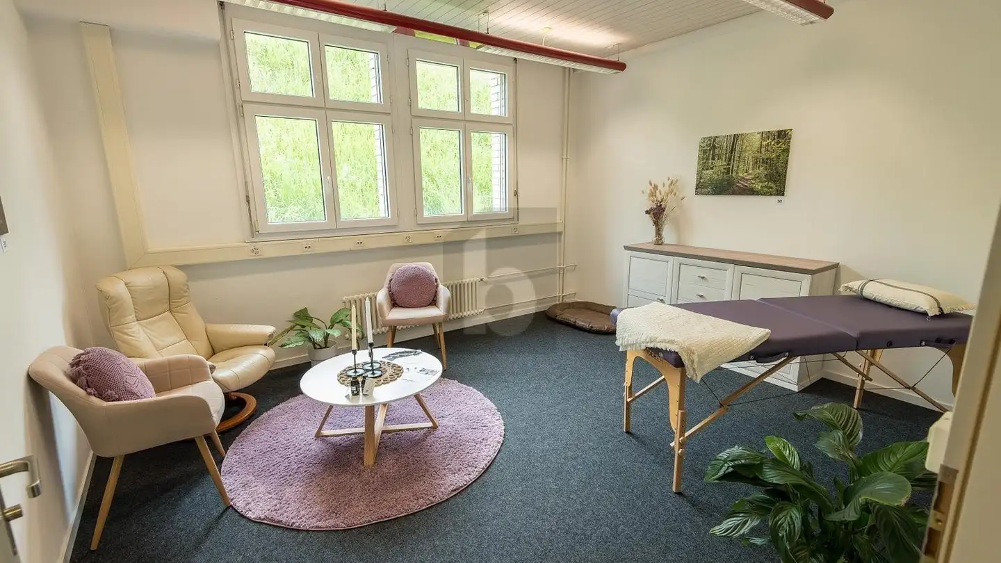 Office space for rent - Kemptthal, 8310 Kemptthal - Photo 3