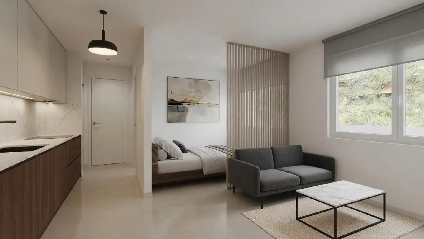 Appartamento ammobiliato in affitto - Rue De La Porte-Neuve, 1950 Sion