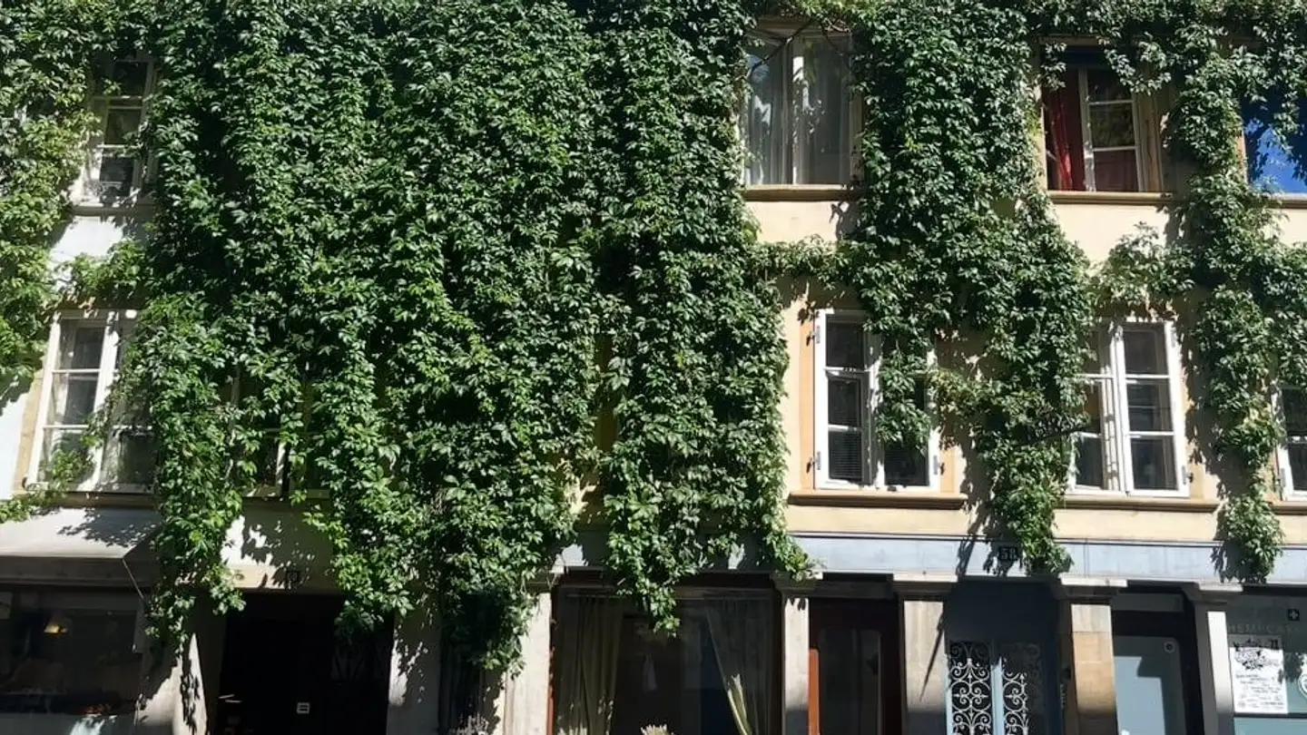 Appartement à louer - Rue Basse / Untergasse 58, 2502 Biel/Bienne - Photo 3