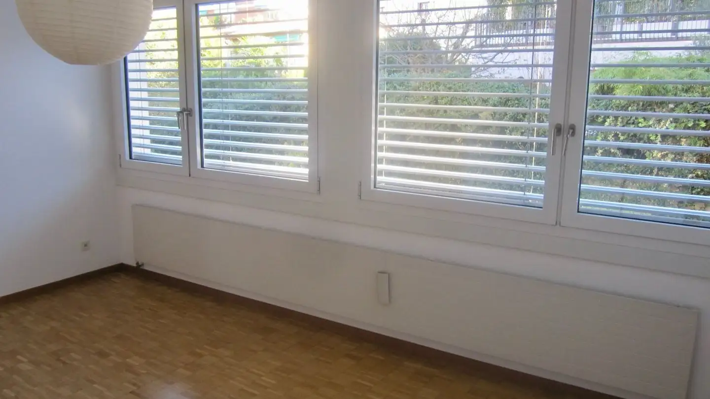 Appartamento in affitto - 6900 Massagno - Foto 3