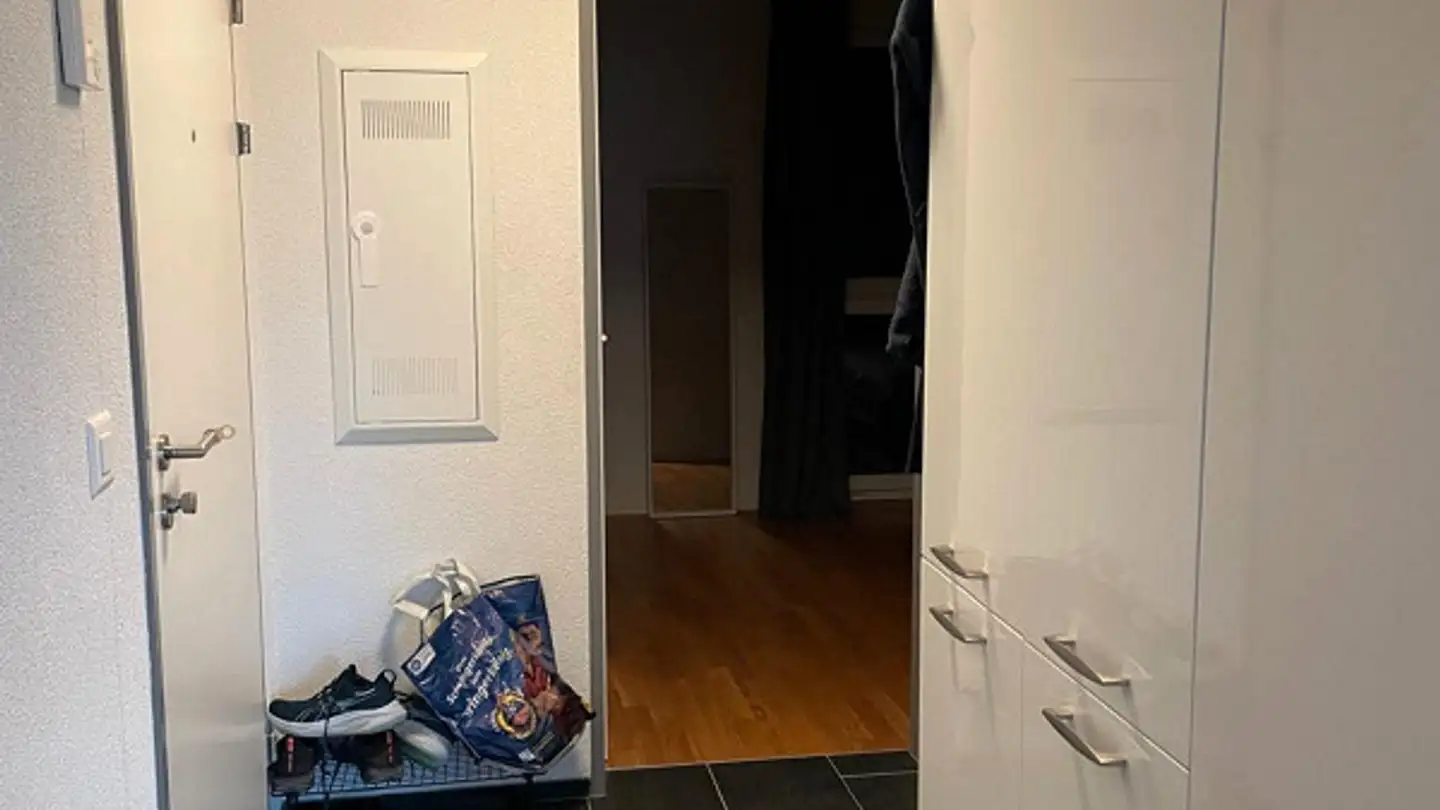 Appartement à louer - Hauptstrasse 23a, 8919 Rottenschwil - Photo 3