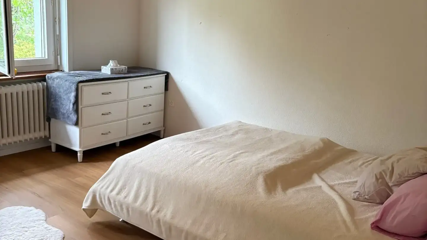 Appartamento in affitto - Forchstrasse 245, 8032 Zürich - Foto 4