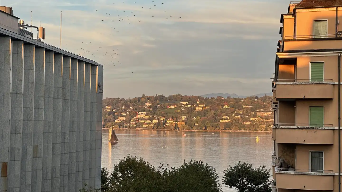 Appartement à louer - 1201 Genève - Photo 2