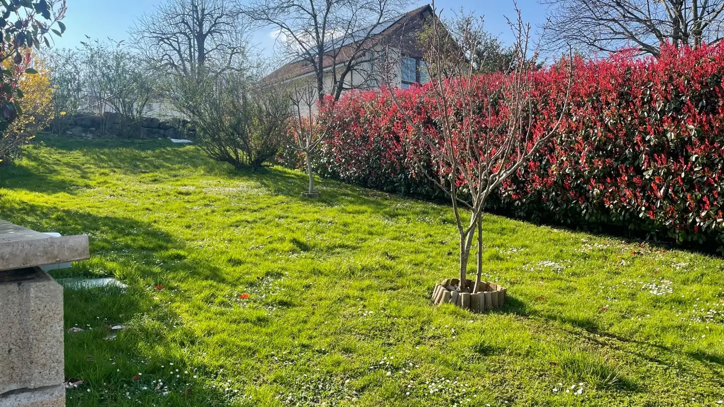 Casa singola in vendita - 1404 Cuarny - Foto 4