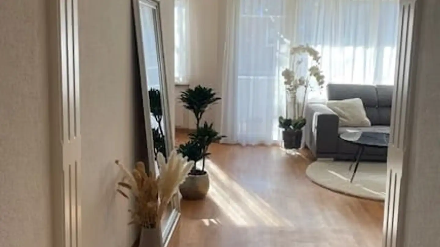 Appartamento in affitto - Hof 12, 5612 Villmergen