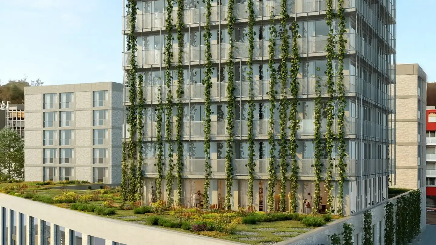 Appartamento in affitto - 5400 Baden