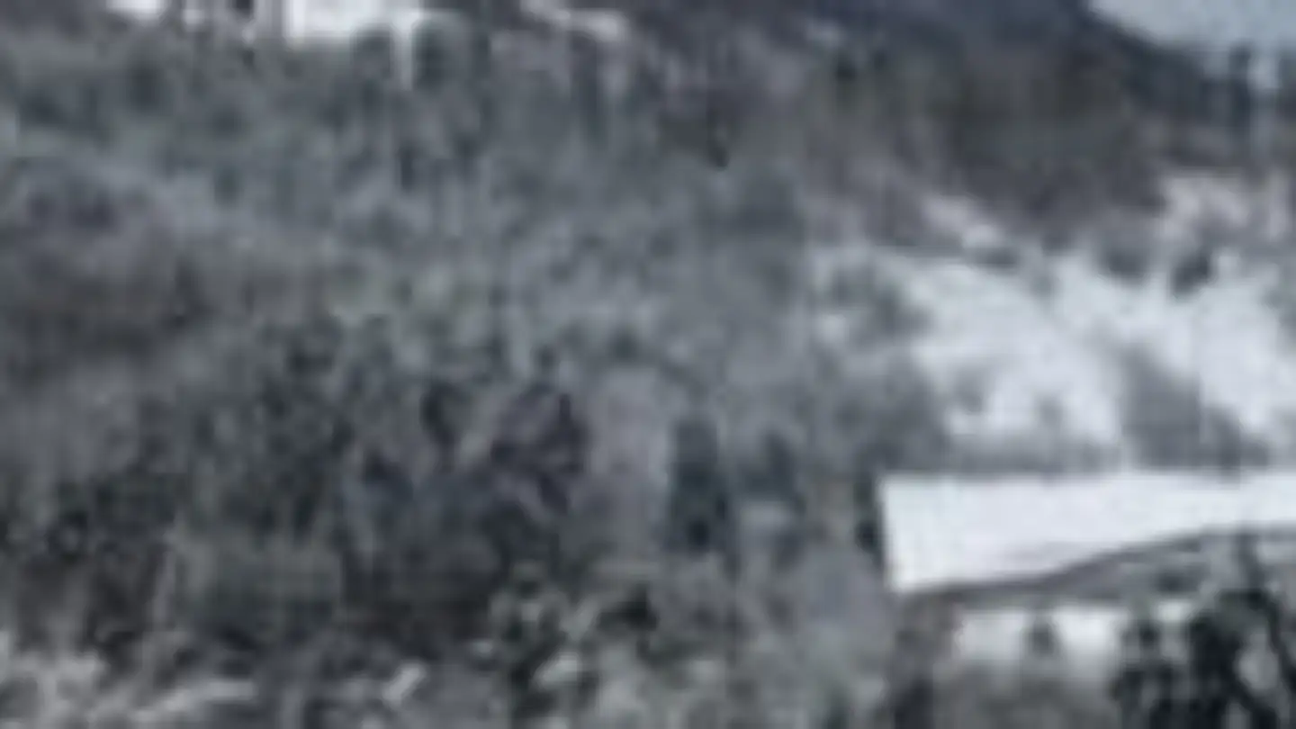 Appartamento in affitto - Chemin Du Lac, 1637 Charmey (Gruyère) - Foto 2