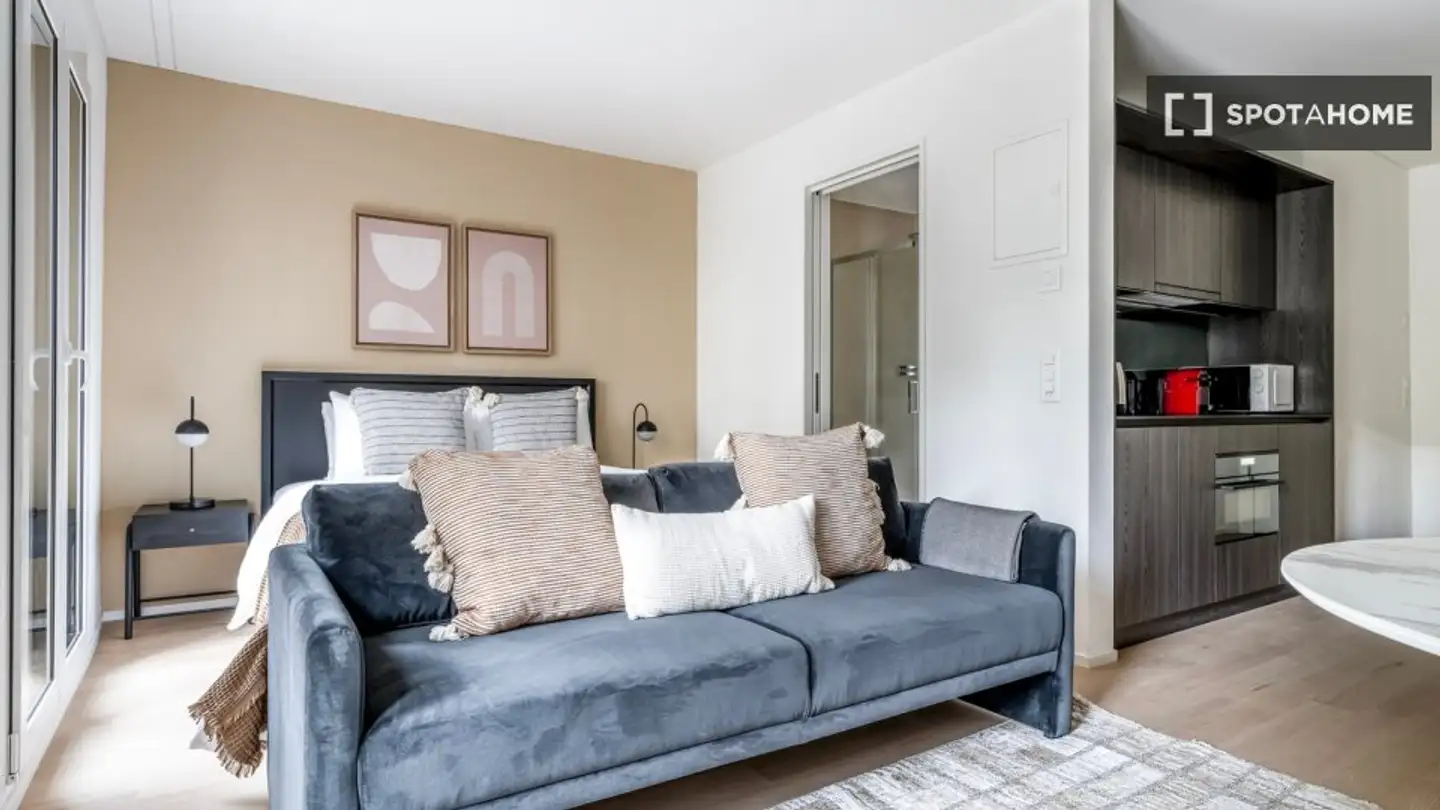 Studio in affitto - 8003 Zürich - Foto 2