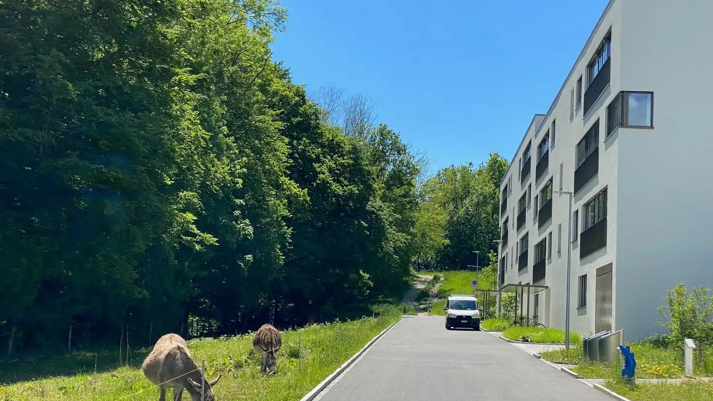 Appartement à vendre - Eichenweg 4, 4600 Olten