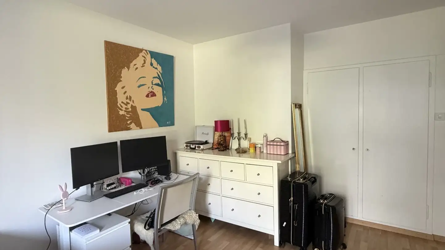Appartamento in affitto - Manessestrasse 103, 8045 Zürich - Foto 2