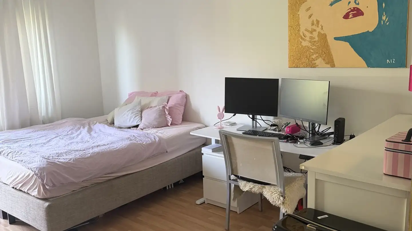 Appartamento in affitto - Manessestrasse 103, 8045 Zürich - Foto 3