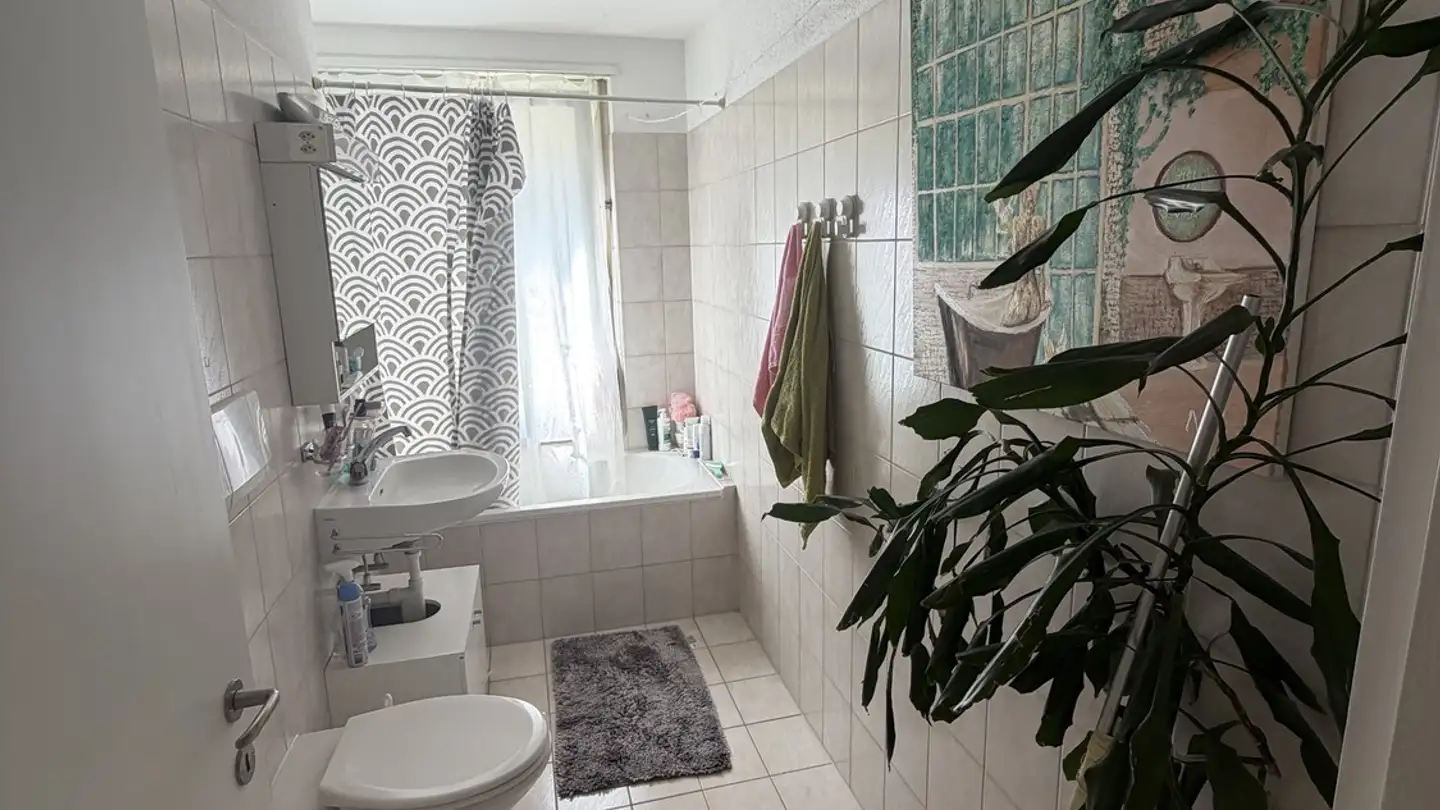 Appartamento in affitto - Manessestrasse 103, 8045 Zürich - Foto 4