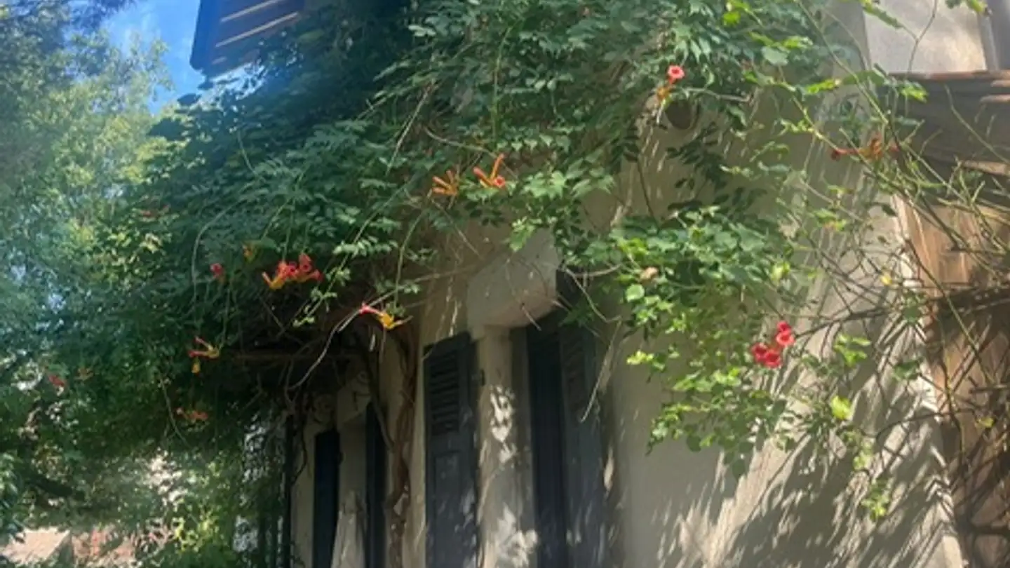 Einfamilienhaus mieten - 1208 Genève