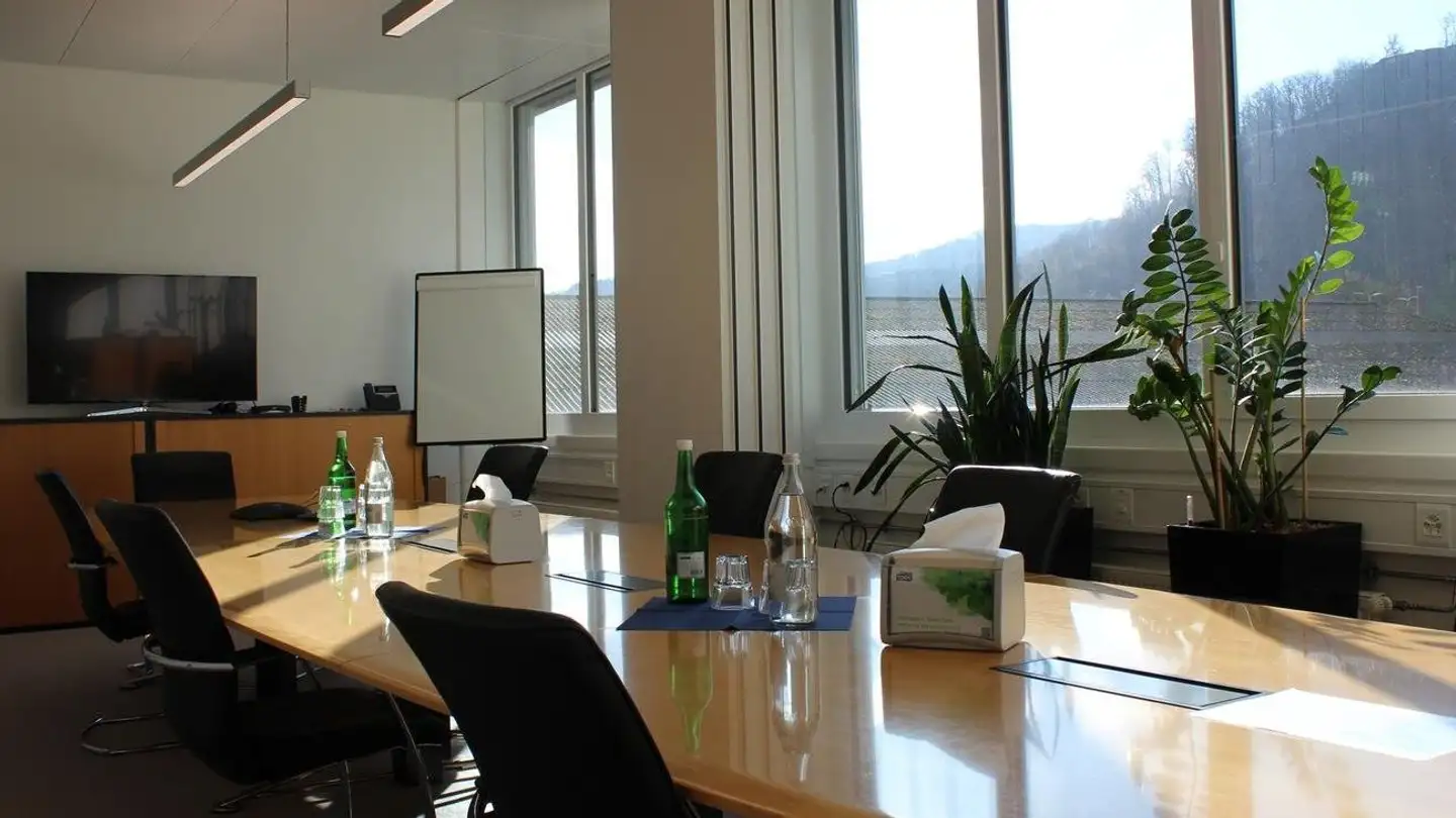 Commerciale in vendita - Wildensteinerstrasse 1, 4132 Muttenz - Photo 3