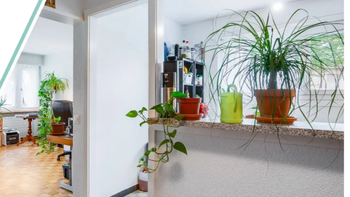 Appartamento in affitto - 1723 Villarsel-sur-Marly