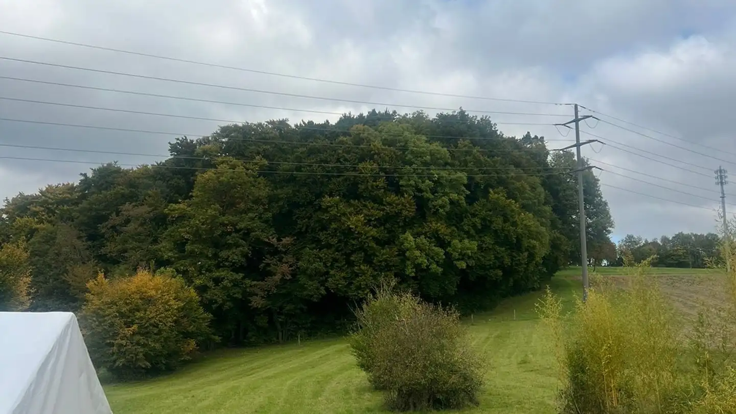 Casa singola in affitto - 8180 Bülach - Photo 4