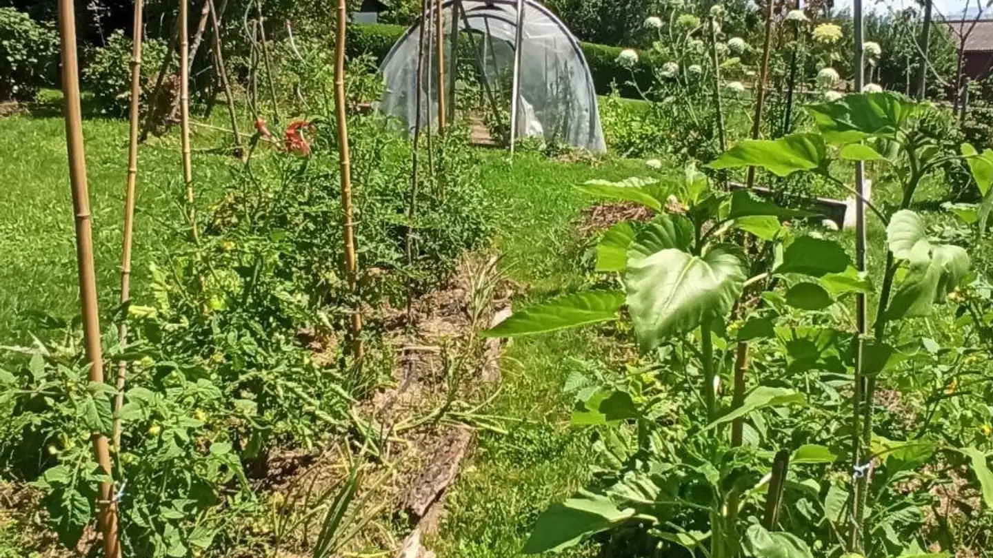 Stanza singola in affitto - Route De La Goille 7, 1073 Savigny - Photo 3