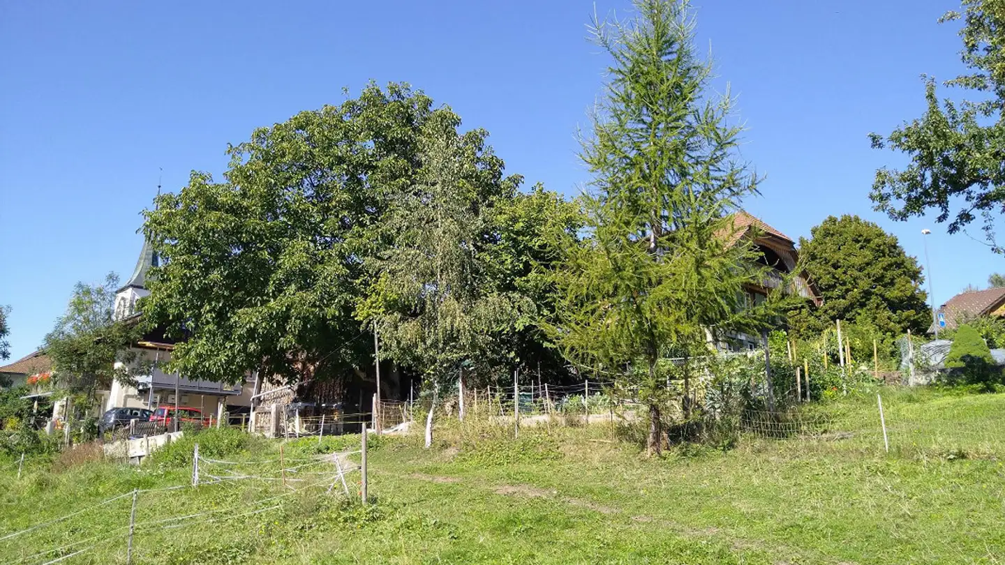 Stepped house for sale - Dorfstrasse 12, 3088 Rüeggisberg - Photo 3