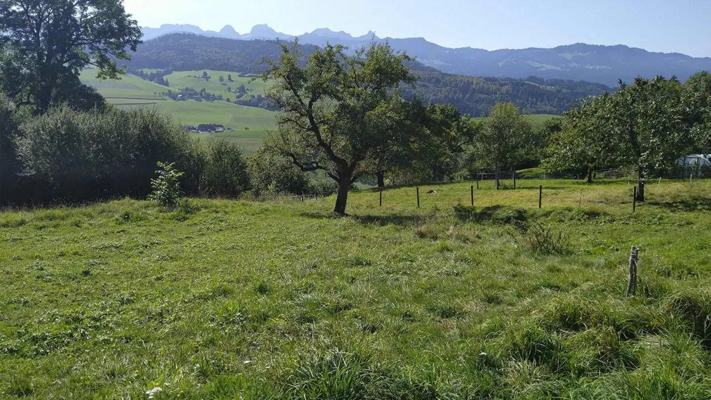 Stepped house for sale - Dorfstrasse 12, 3088 Rüeggisberg - Photo 4