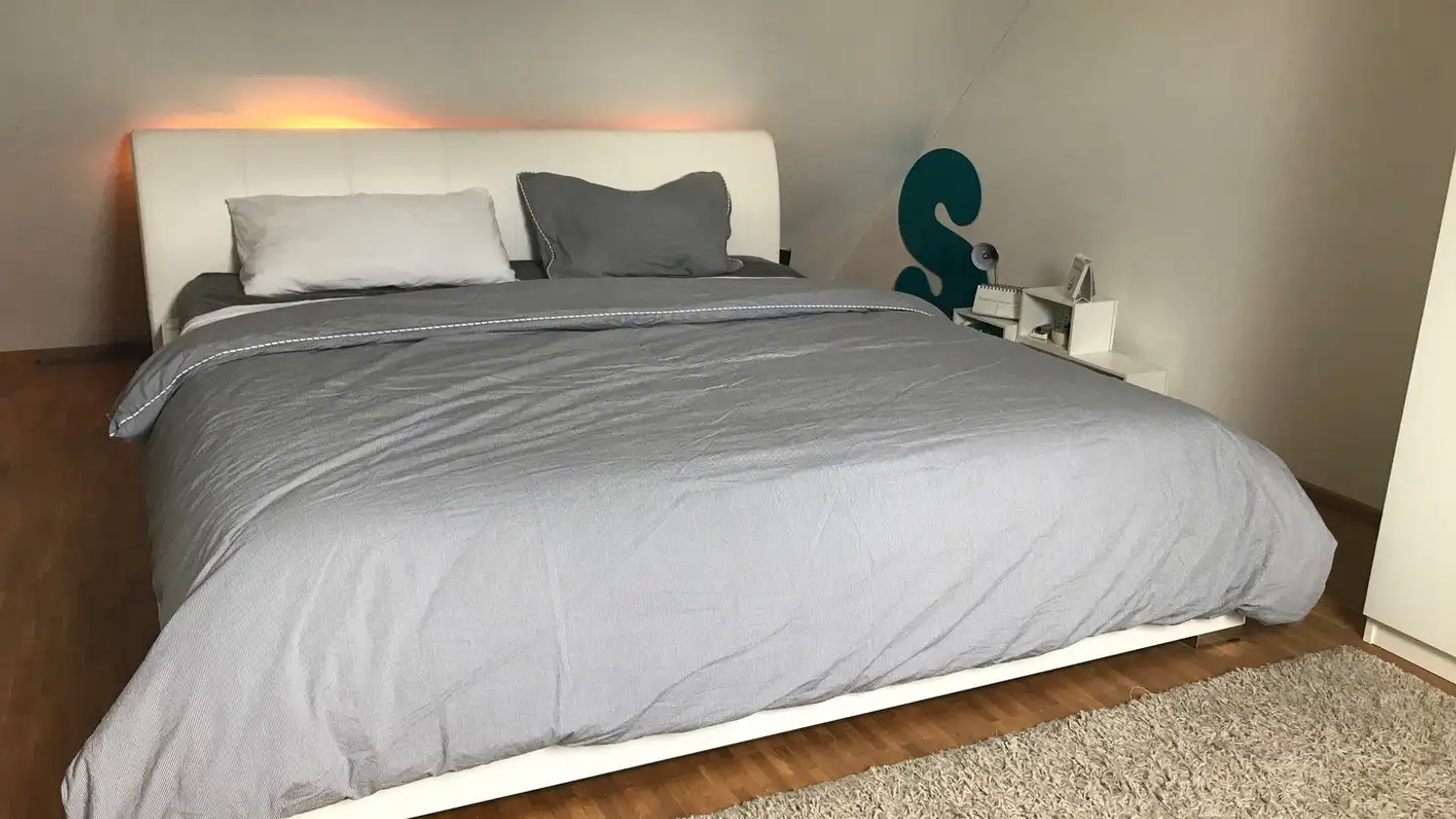 Chambre à louer - 8004 Zürich