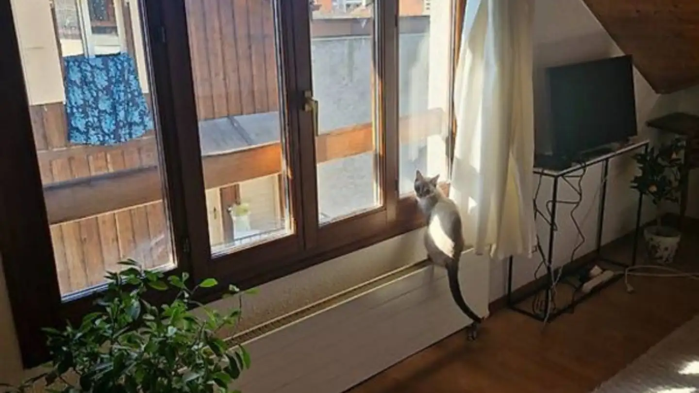 Appartement à louer - Rue Du Gothard 18a, 1225 Chêne-Bourg - Photo 2