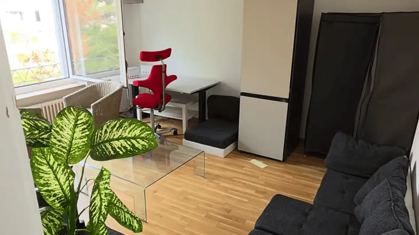 Furnished apartment for rent - 4055 Basel