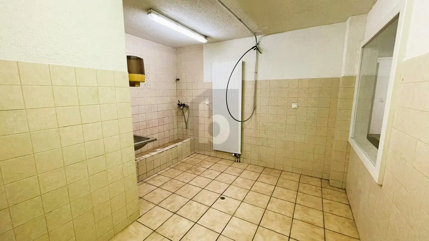 Laboratorio in affitto - 5615 Fahrwangen - Foto 3