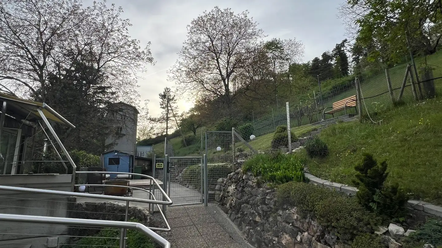 Apartment for rent - 5018 Erlinsbach - Photo 2