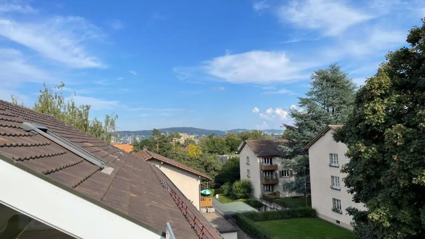 Appartement à louer - Birmensdorferstrasse 387, 8055 Zürich - Photo 3