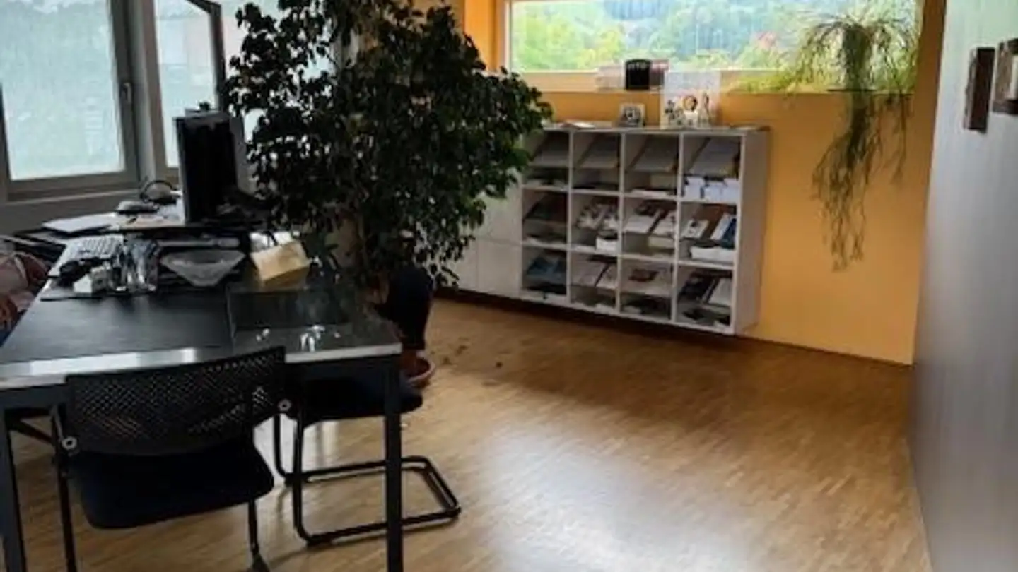 Spazio ufficio in vendita - Breite 29, 9450 Altstätten SG - Photo 3