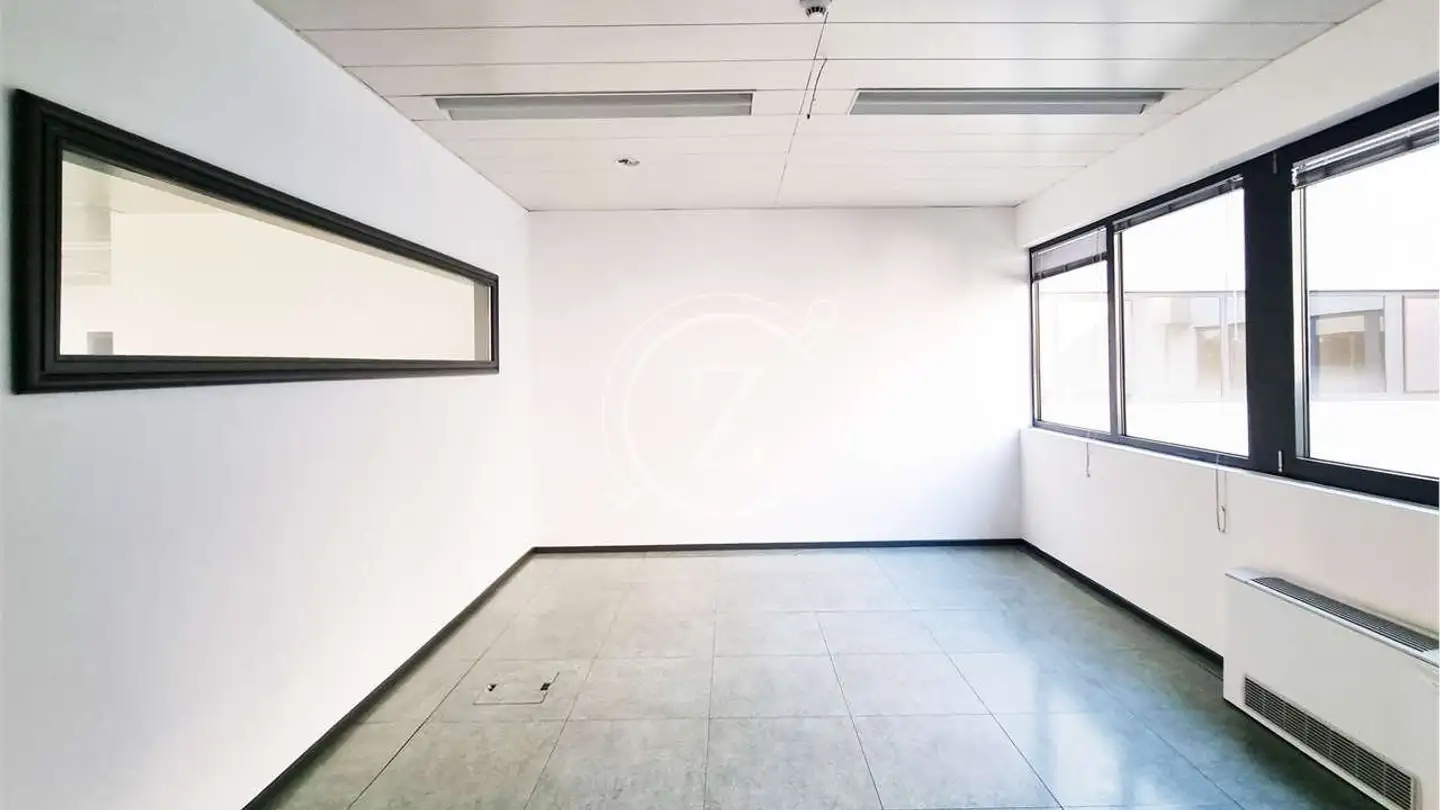 Spazio di archiviazione in affitto - Via Senago, 6912 Pazzallo - Foto 4